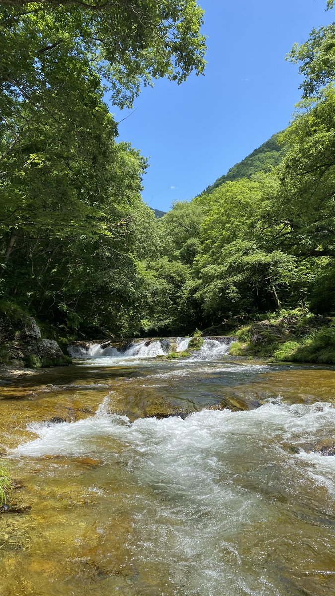 gami_6R's tweet photo. IYASHI😌 https://t.co/AEI4vIGbOO