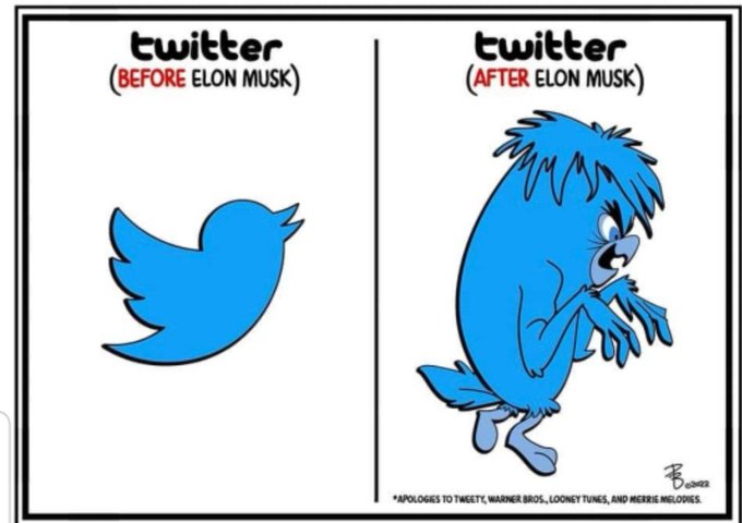 Tweet media one