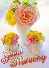 noroz_12's tweet photo. السلام علیکم ورحـــــــمةالله وبركآته💖
        @Dr_nadia__     💖صباح الخیر ۔۔۔۔😍 https://t.co/A5ZHb35dGm