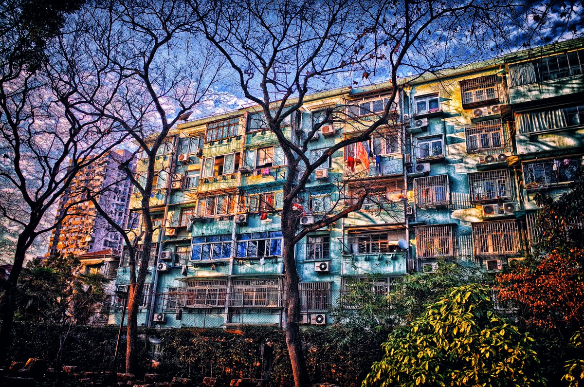 #photo #China #橋 #建物探訪  #写真 #streetphotography #pond #街 #buildingphotography #bridge #GR #colorful #上海 #路地裏散策 #Alley #旅 #singlefocuslens #魯迅公園 #中国 #photography #LuXunPark #散歩 #Shanghai #stroll R0010862-111