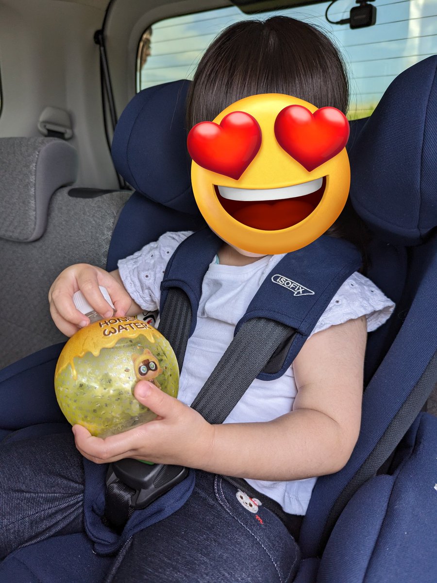 昨日いただいた水
一度渡したら最後、取ろうとしたら泣くレベルになりました