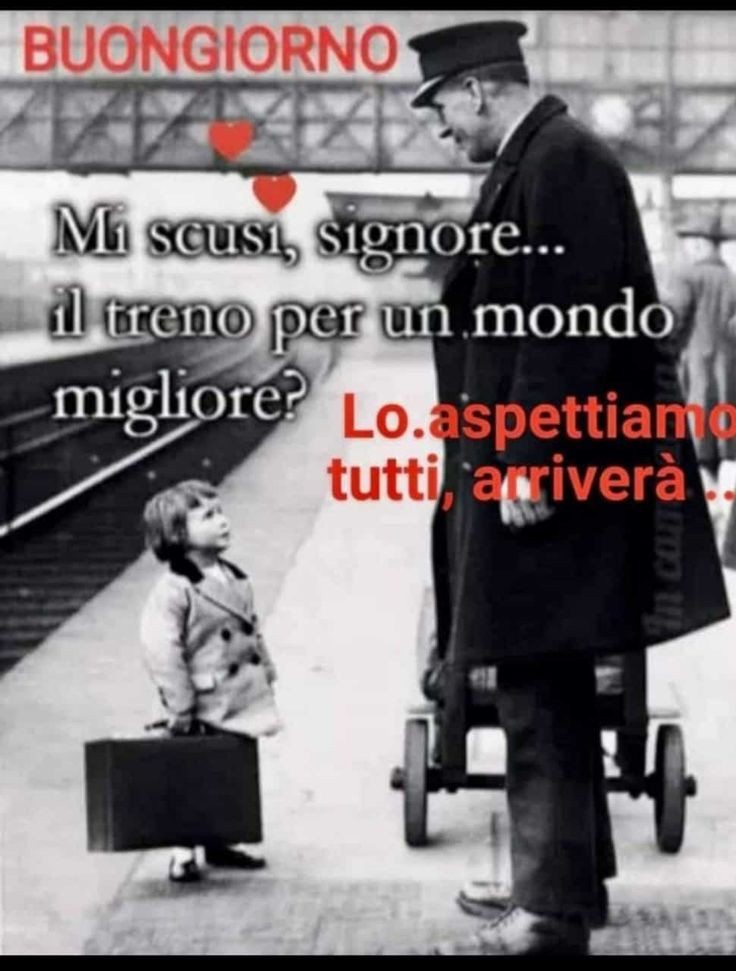 amebeg's tweet image. Buona domenica 🌹🌹🌹🌹🌹