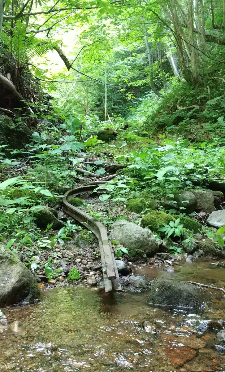 札幌近郊の沢を歩いてたら線路が転がっててめちゃくちゃ興奮した