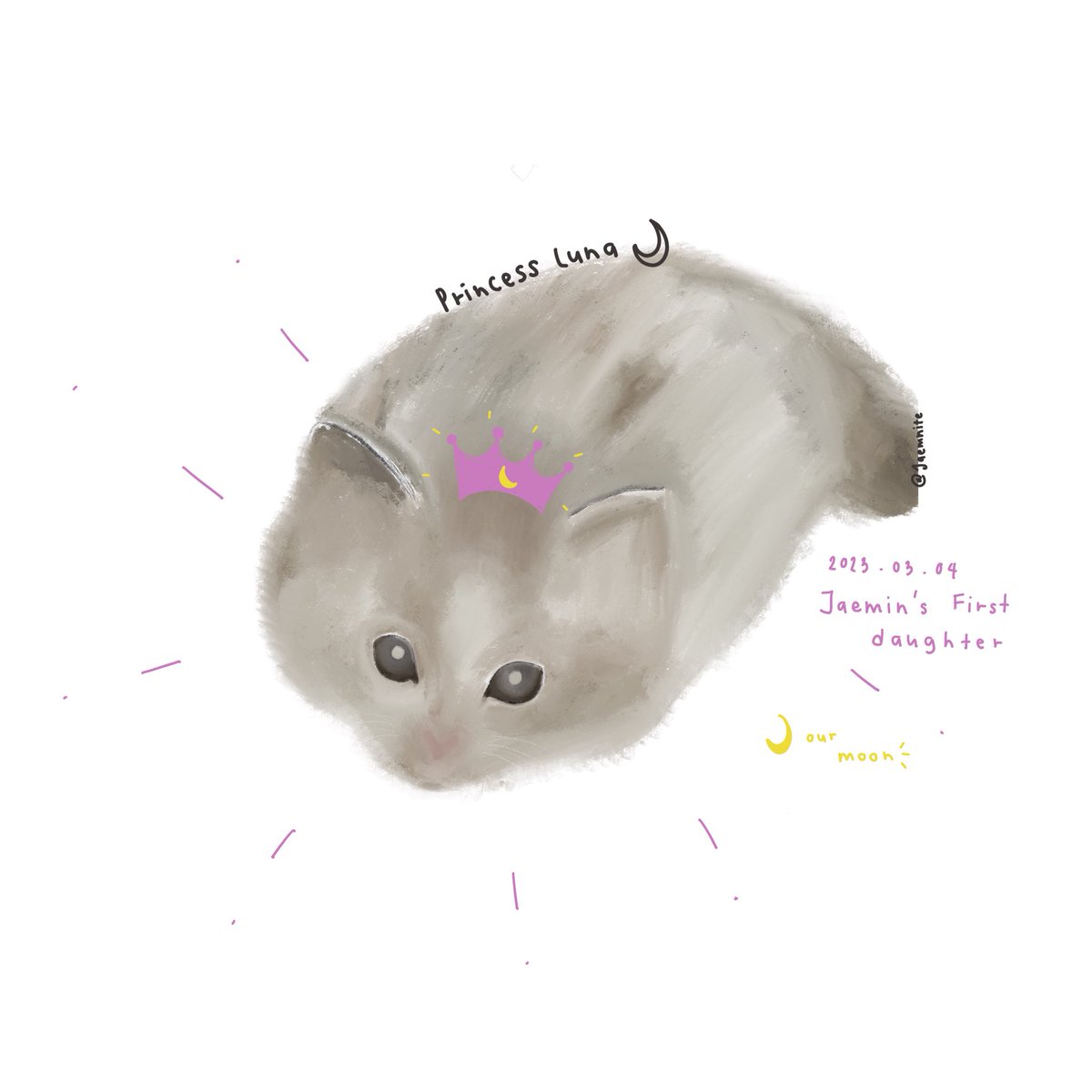 aemnite's tweet photo. Jaemin’s first daughter, princess luna 🌙
#jaemin #luna https://t.co/p0XGo2FRTO