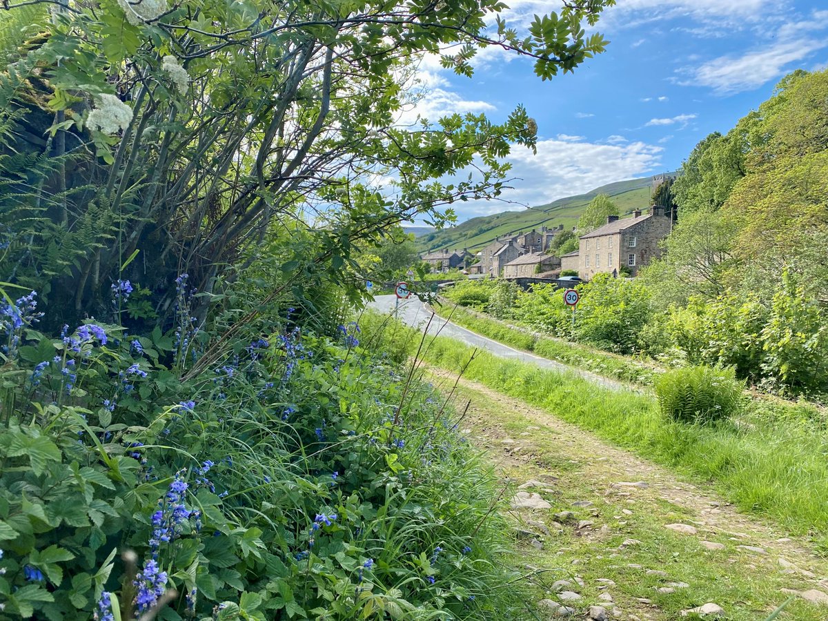 yorkshire_dales's tweet image. We open a window to the Dales every morning and share some of our favourite views, like this one. Know it? 

📸 Wendy McDonnell

#YorkshireDales #OutdoorAdventures  #NatureViews