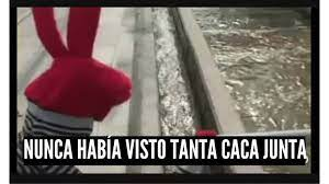 McFly_AM's tweet photo. @CesarElliMon1 https://t.co/P3jTBiBSxp