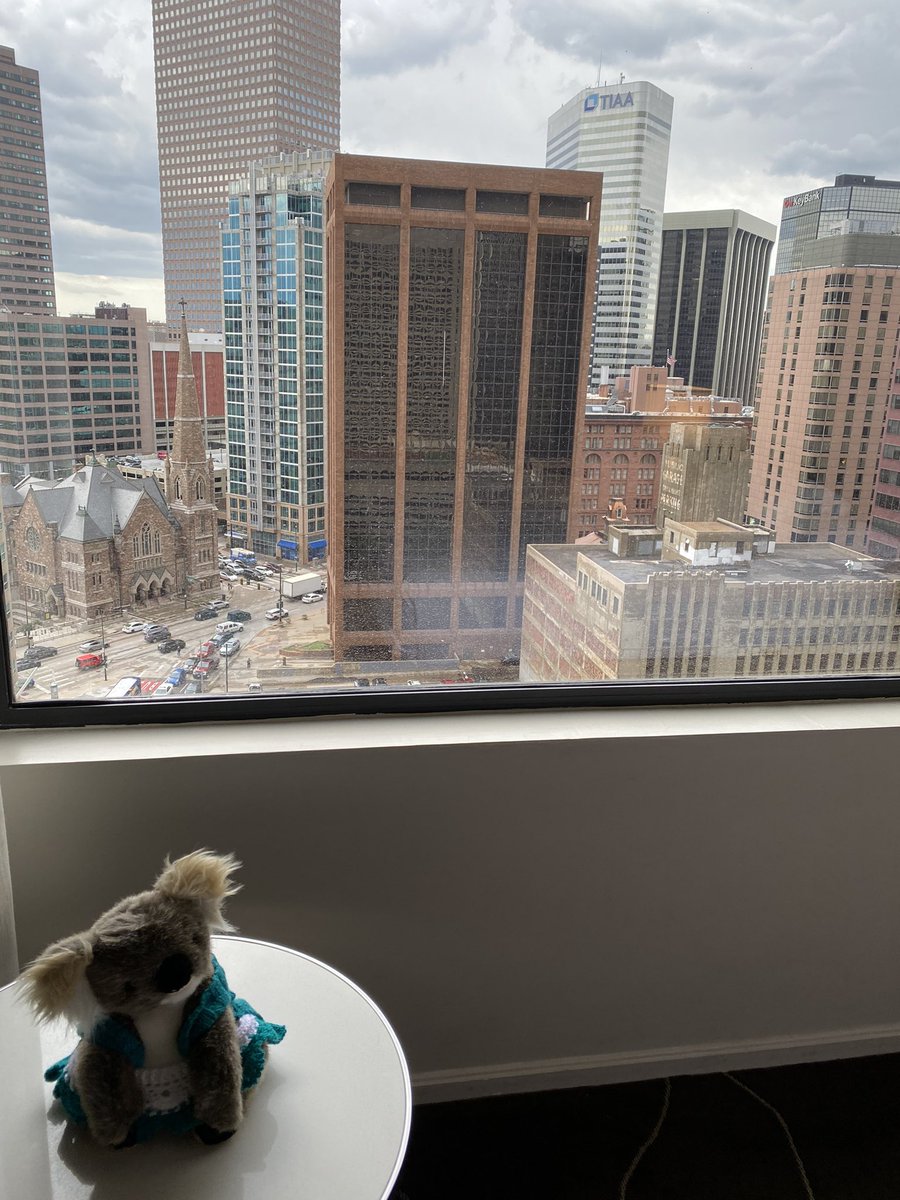 Hi LLLP’ers. Lola here from Aus. I’m now in the big smoke of Denver and getting up courage to come and meet you all! And Pete too! There’s lots of big buildings and no gum trees but hopefully I’ll be ok! Come and find me tomorrow night! #LLLP2023 🐨🌳