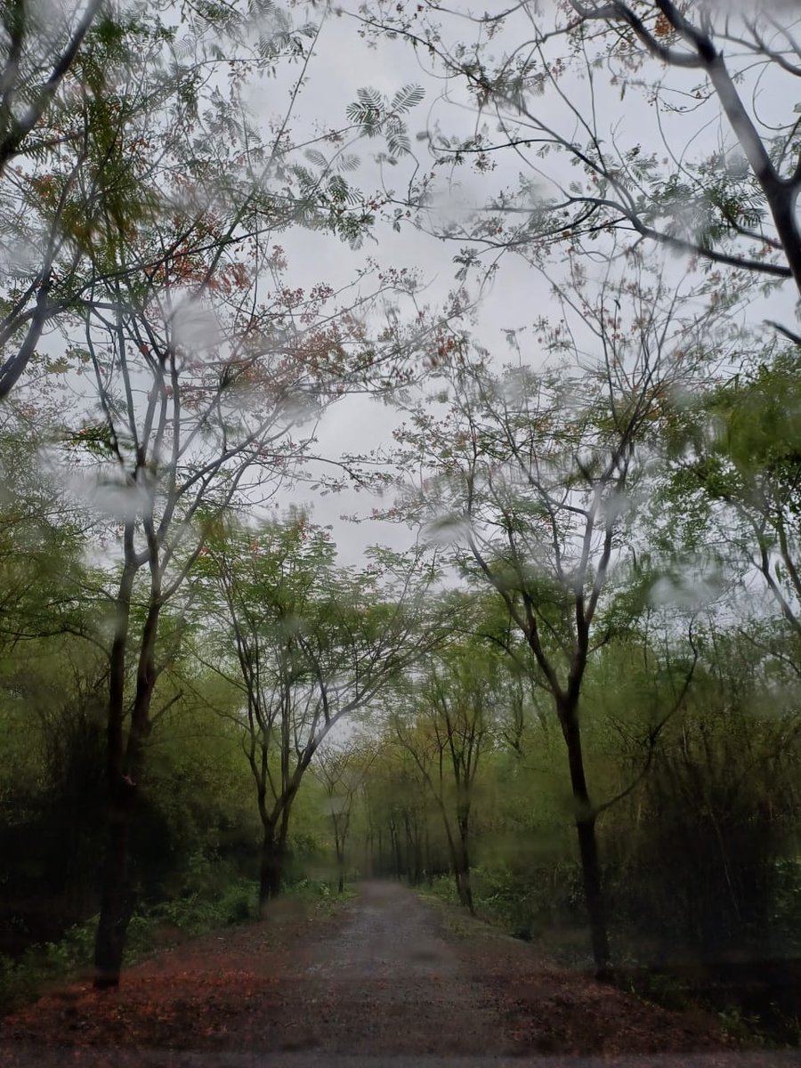 Vanaraipalu's tweet photo. मौसम हा मस्ताना, वनराई पळूमध्ये असताना...
चला या वीकेंडला फिरायला जाऊया, वनराई पळूला भेट देऊया...😍🍃❤️

@alappkorde

#vanaraipalu #natur #monsoon #weather #sky #weekend #friends #family https://t.co/YDwLya5Veh