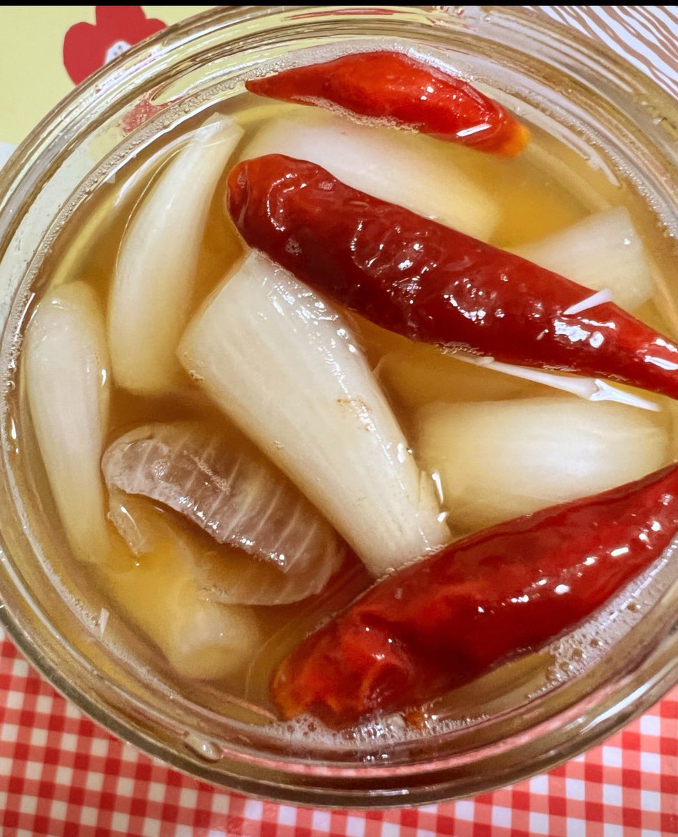 AnnjaHLmMVzzZwK's tweet image. 私の人生の登場人物さんに会いに行ったり～
SNSを覗きにいったり～
電話したり～
💌 したり～
日々を楽しんでおります🌻

ので、💁‍♀️私の健康を育むエッセンス💝
らっきょう酢漬けと
ネギとオクラ醤油漬けを作りました😊

#出会いを大切に 
#今日一日に感謝 
#健康オタク 
#夏バテ防止対策
#健康を育む