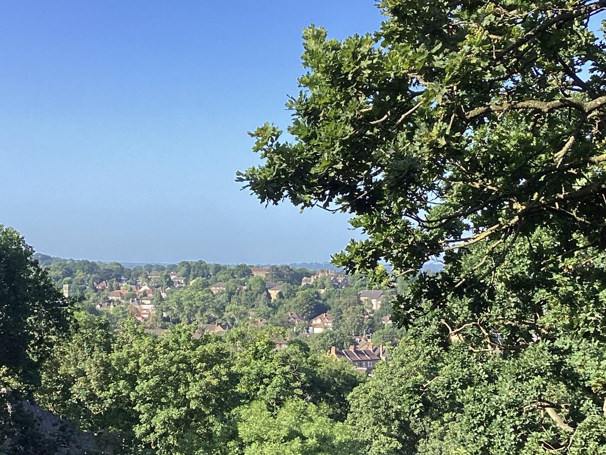 Barbara Fowlds tweet media