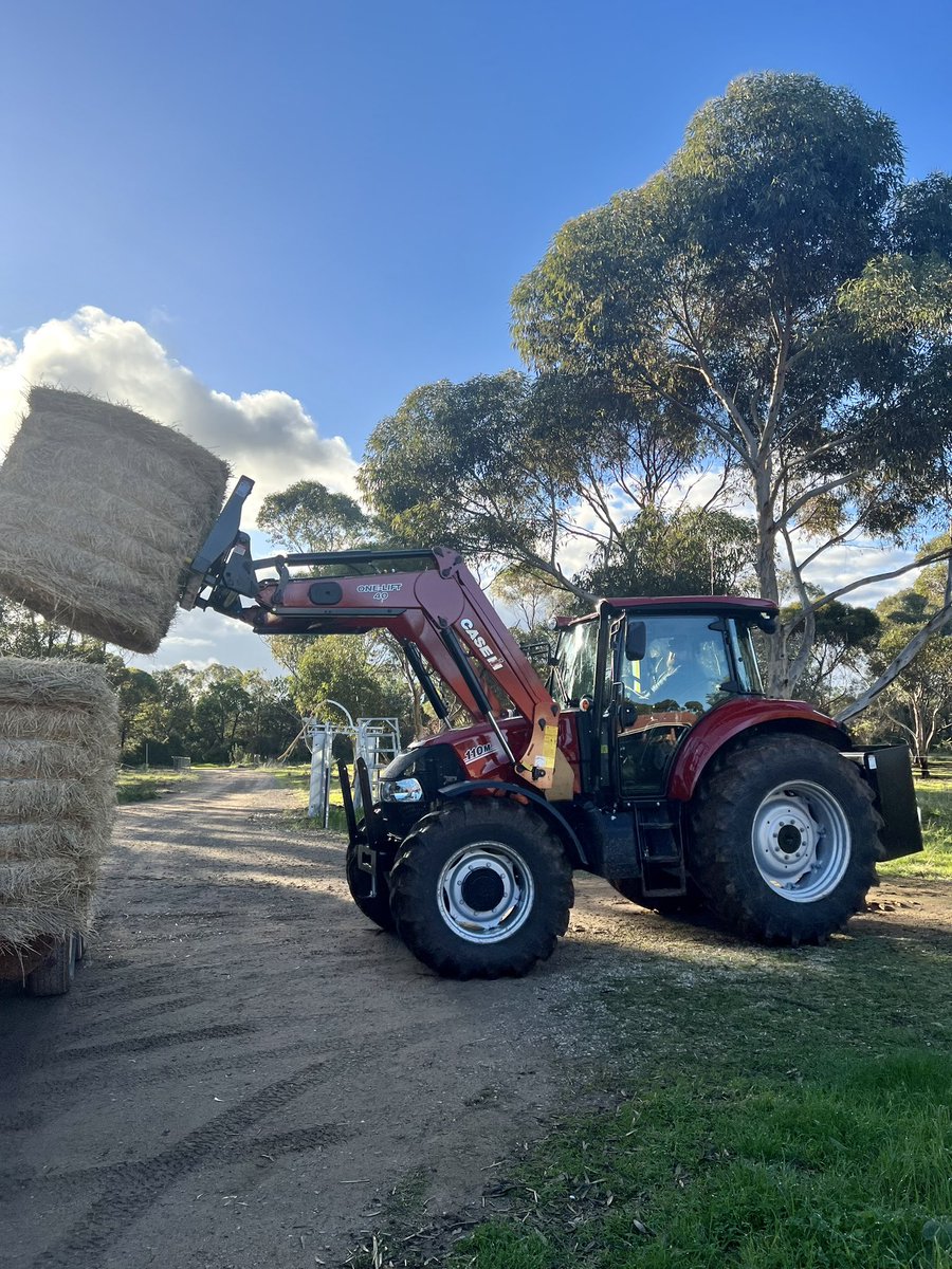 I did a thing! 😍

I bought my first real tractor!

So many jobs on the farm are going to be much easier now with Lil Red. She’ll be our hardest worker in no time!

#lilred #tractoring #caseih #farmall #farmher #australianagriculture #caseihaus