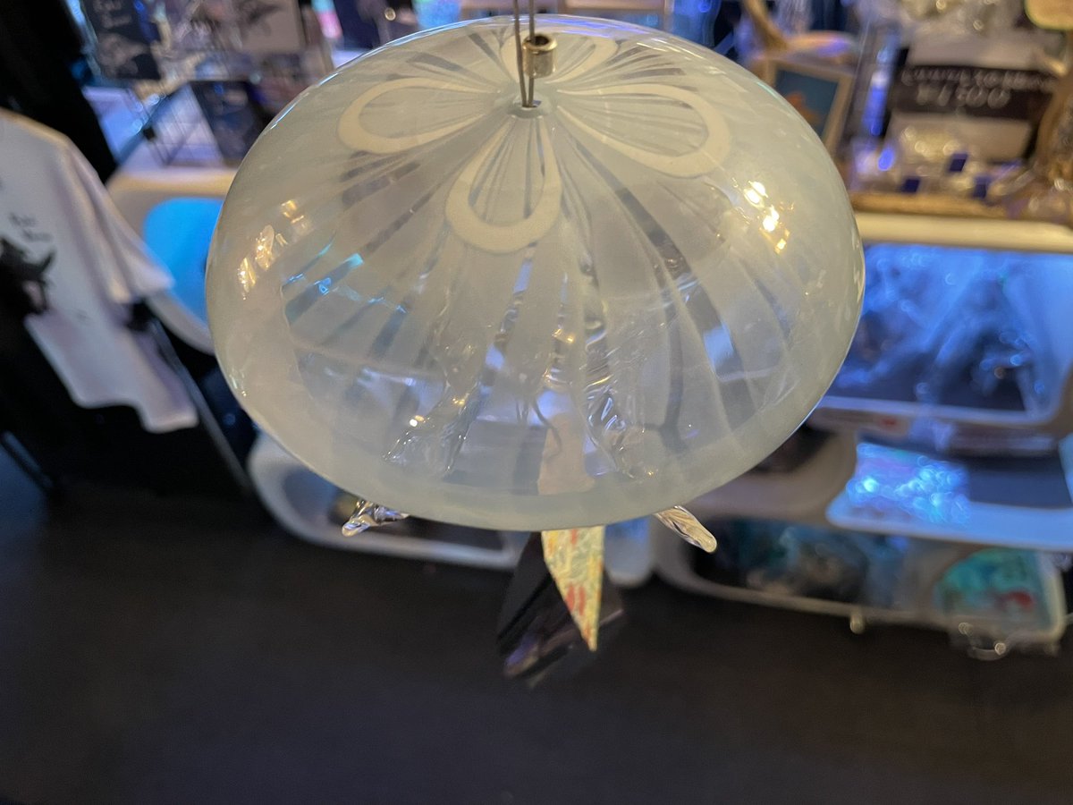 atolla_fukui's tweet photo. ワタリグラスさんコラボ
クラゲ風鈴新色ライトブルーできました
通販価格15000円（税込）
タコクラゲライト25000円（税込）もあります。ご希望の方はDMでお願い致します。
#古代生物ミュージアム
#クラゲ風鈴
#クラゲライト
#クラゲ専門店 https://t.co/mqkyaP2r3c