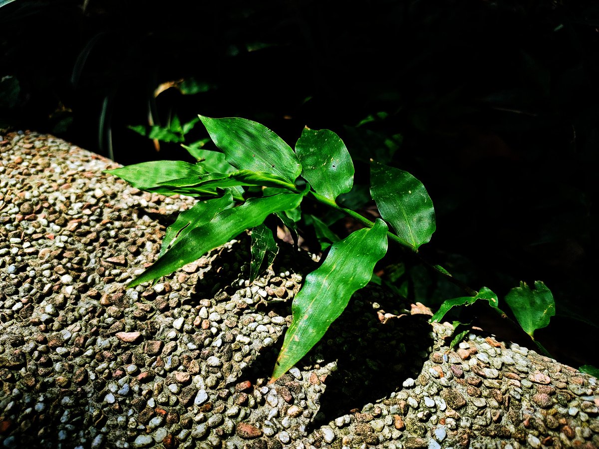 黄丹尼TY.H (@dyh0124) on Twitter photo 