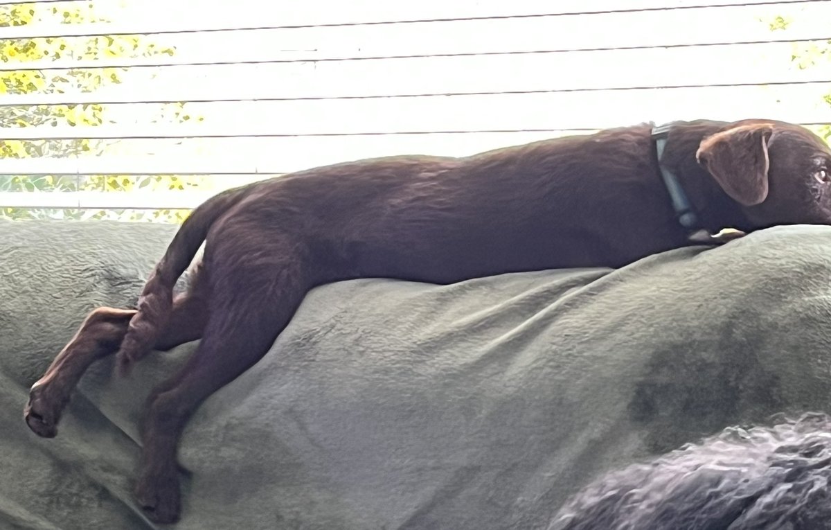 Hoomum says I look like I’ve melted 🤣🤣