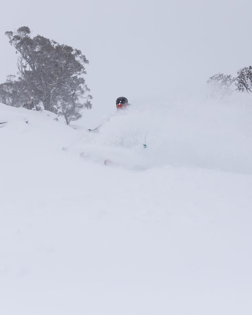 InTheSnow Magazine tweet media