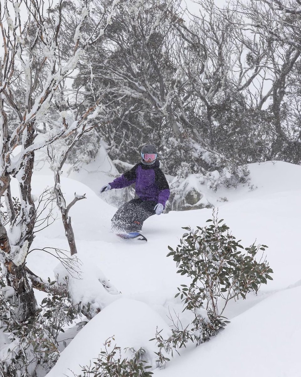 InTheSnow Magazine tweet media