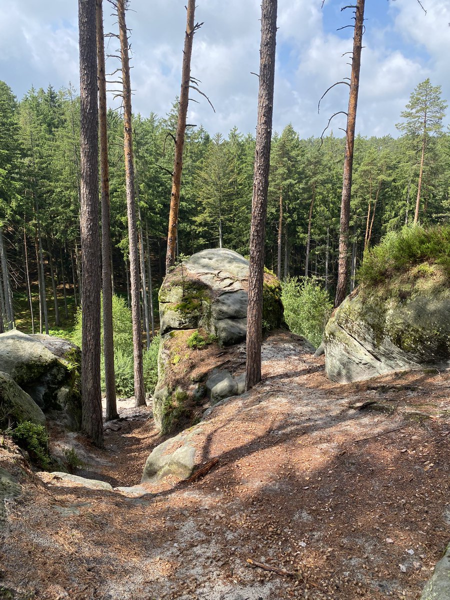 tony_ver2's tweet photo. Výlet na Toulovcovy Maštale 01.07.2023
#turistika #CzechRepublic #vylety #czechia #les #forest #toulovcovy #mastale #Summer #hikingadventures #pardubicky #kraj #novehrady #zamek #Summervibes #castle 1/3 https://t.co/dqMYupHxAg