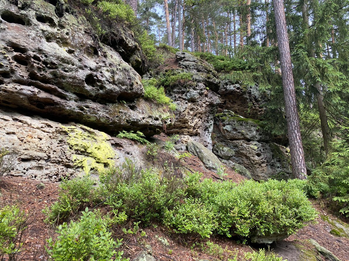 tony_ver2's tweet photo. Výlet na Toulovcovy Maštale 01.07.2023
#turistika #CzechRepublic #vylety #czechia #les #forest #toulovcovy #mastale #Summer #hikingadventures #pardubicky #kraj #novehrady #zamek #Summervibes #castle 1/3 https://t.co/dqMYupHxAg