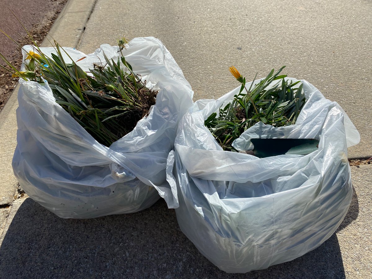 Roberto Busi tweet media