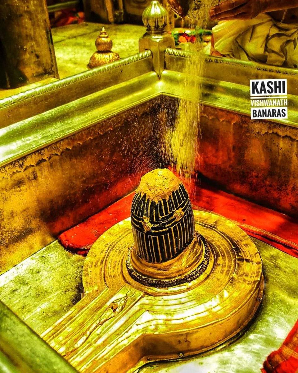 Namamigangesf's tweet image. #Kashi #Varanasi, the #oldest city in the #world, the #city of #Baba #Vishwanath 
#CleanGanga #CleanKashi #Varanasi #Banaras #NamamiGangesf #Namamigangesewafoundation