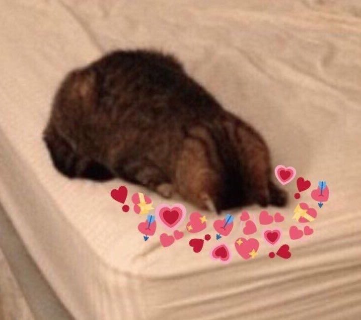 ‍ ‍ ⋆☽ 𝒛𝒐𝒆𝒚. (@oceanics0ng) on Twitter photo 