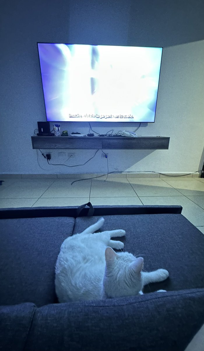 allinahi's tweet photo. Daki viendo la tele 🥹💕 https://t.co/uGbbUdzMFP