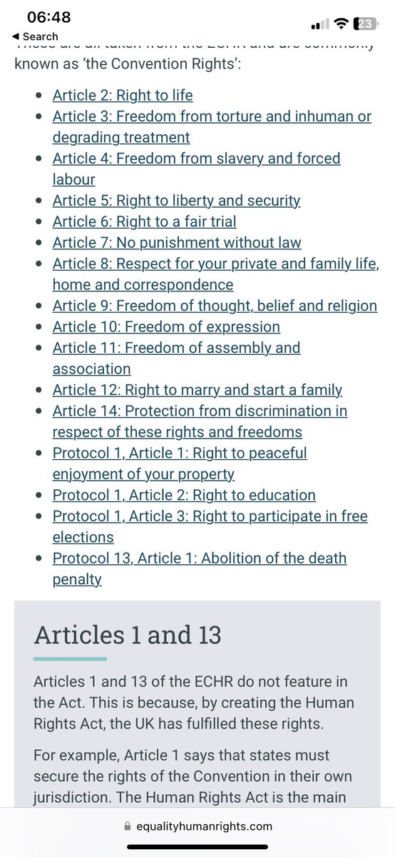 Ellie Winfield tweet media