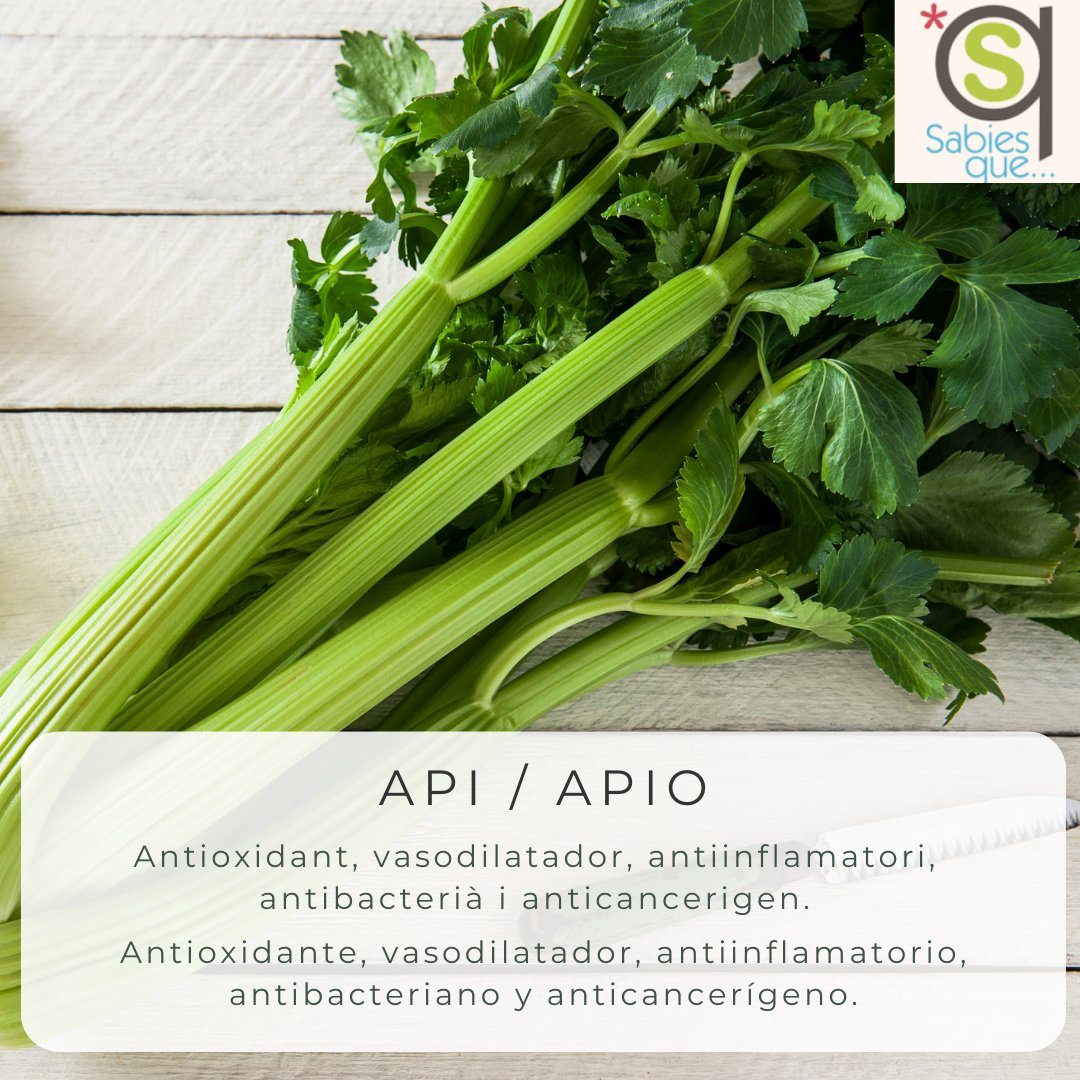 Sabiesque's tweet photo. El apio es una buena fuente de vitamina K, vitamina C, potasio y ácido fólico. Estos nutrientes desempeñan un papel importante en diversas funciones corporales, como la coagulación sanguínea, el sistema inmunológico y la salud cardiovascular.

Síguenos en instagram @sabiesque https://t.co/UYDd487kJG