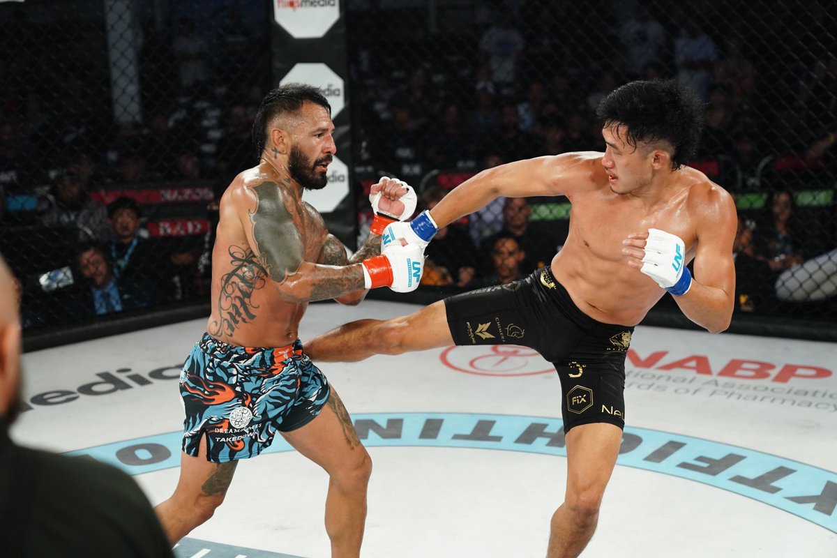 Up Next Fighting tweet media