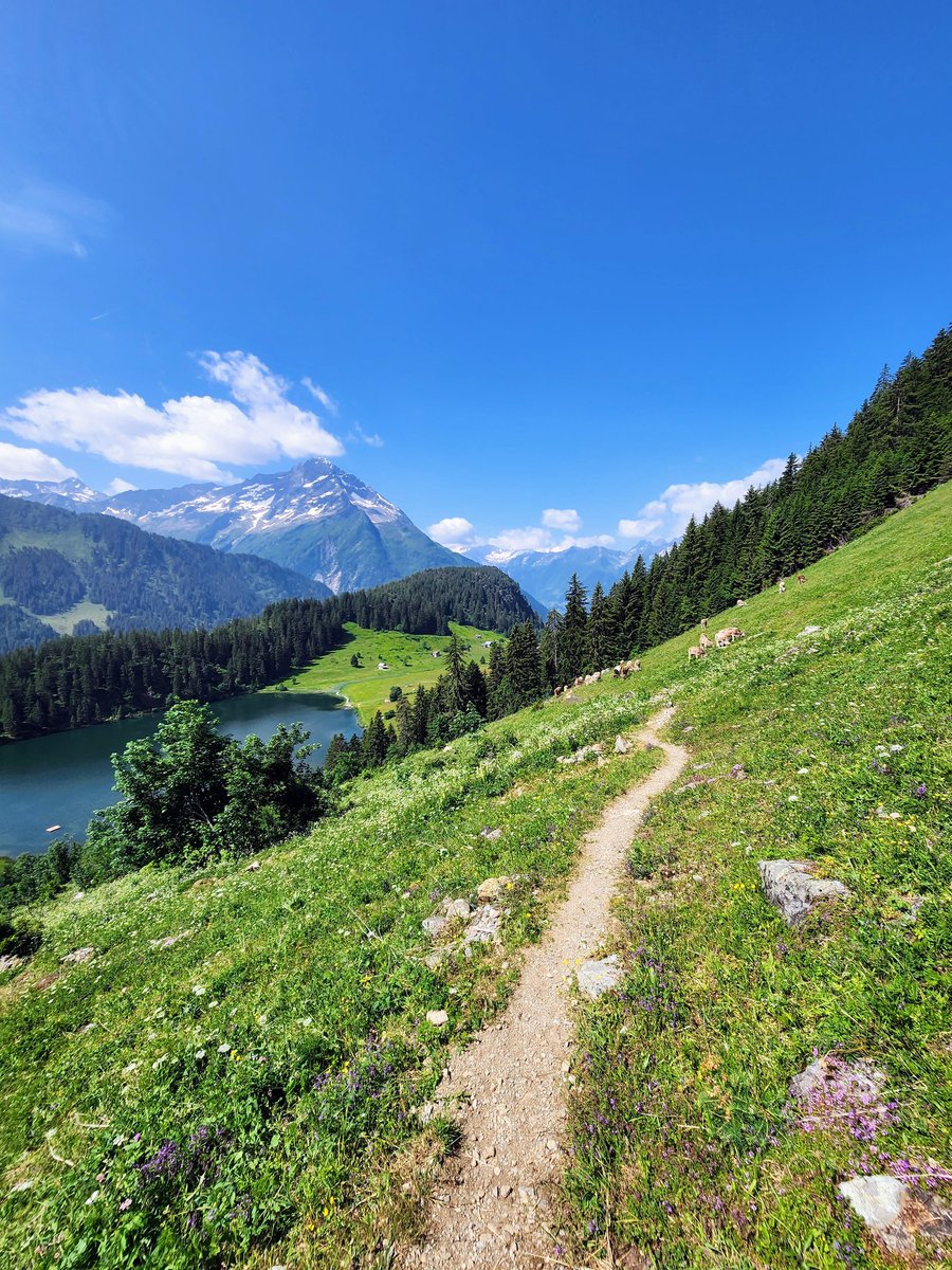 Seeking out peace and solitude in the Maderanertal. #Switzerland