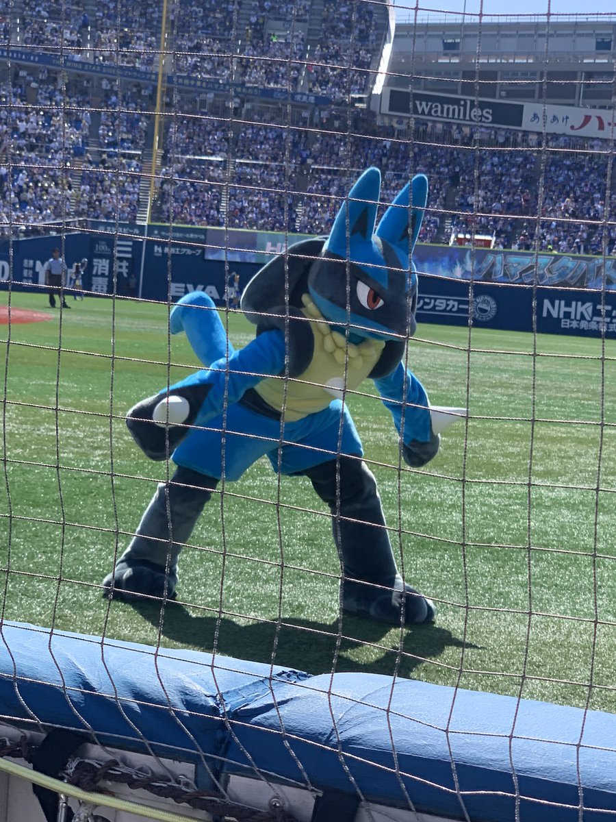 ルカリオ〜❤️❤️❤️