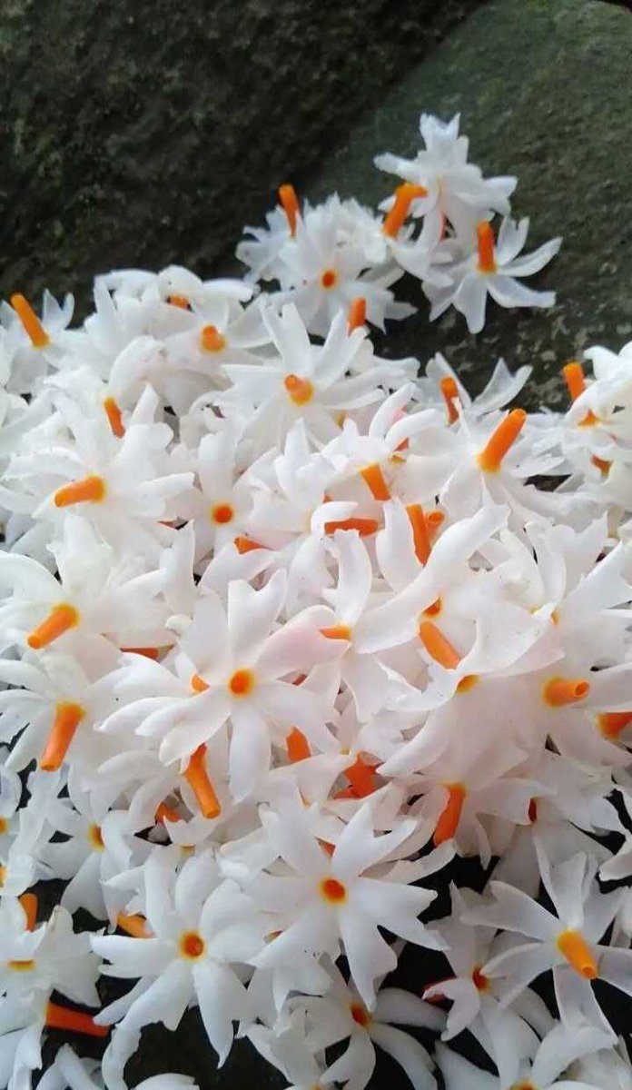 Shathi_Akter_'s tweet photo. Wow beautiful....😍😍😍

#beautiful 
#great 
#imaging 
#Nice https://t.co/pxwH2dsegR