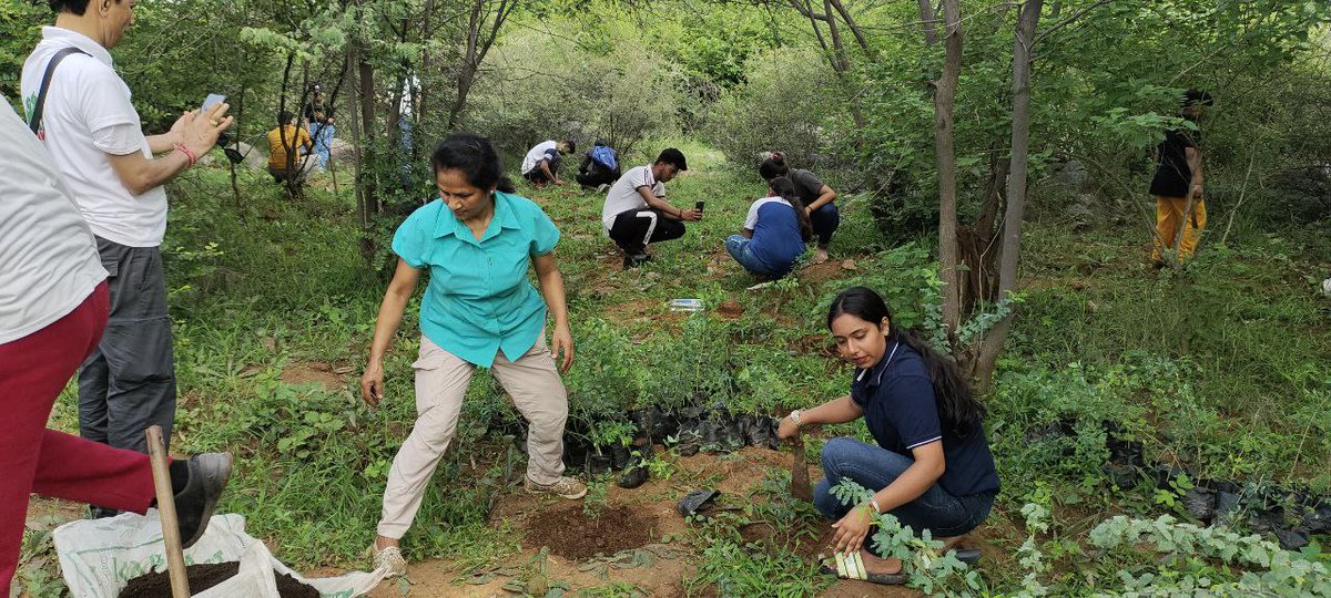 SaveAravali's tweet photo. आने वाली पीढ़ियों को स्वच्छ वातावरण मिले उसके लिए हम जंगल बना रहे हैं। आप भी आएं हमारा साथ दें।

https://t.co/G0PEst8B8x 

#SaveAravali #PlantationActivity #CreatingBiodiversity https://t.co/QfALC8zjue