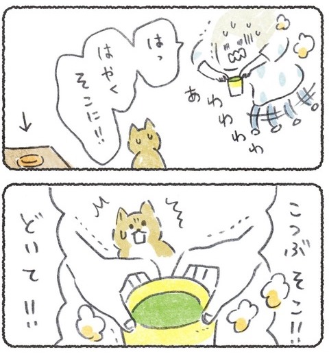 犬、いつも空気よむのうまいのに。
https://t.co/AccQCdBVjr 