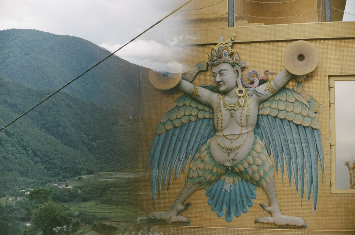 Jacqueline Scripps tweet media