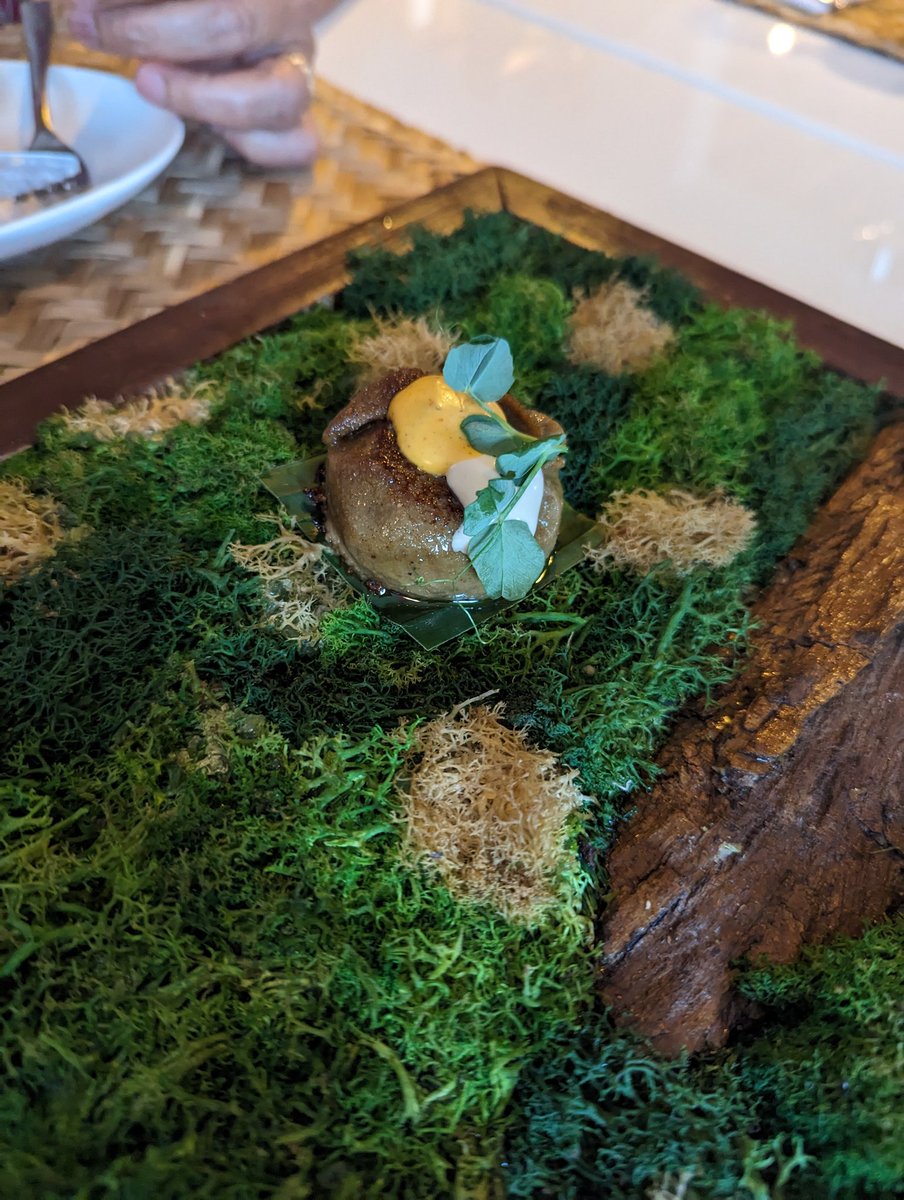 sameeracan's tweet photo. Made the mistake of taking mom to a contemporary dining restaurant.

The food took her through an emotional rollercoaster.

Starting with surprise, shock, amusement before she broke into laughter and eventually anger on the way back. 

"You only want to waste money" 👀 https://t.co/MbjIpGt0lq