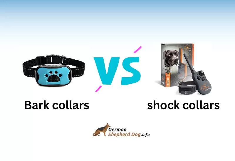 shepherd_lovers's tweet photo. When it comes to dog training, there are a variety of tools available, including bark collars and shock collars. Both types of collars are effective in preventing unwanted behaviors, but there are some key differences between them.

https://t.co/GvfN1s1GWC https://t.co/vWIo3nFCDY