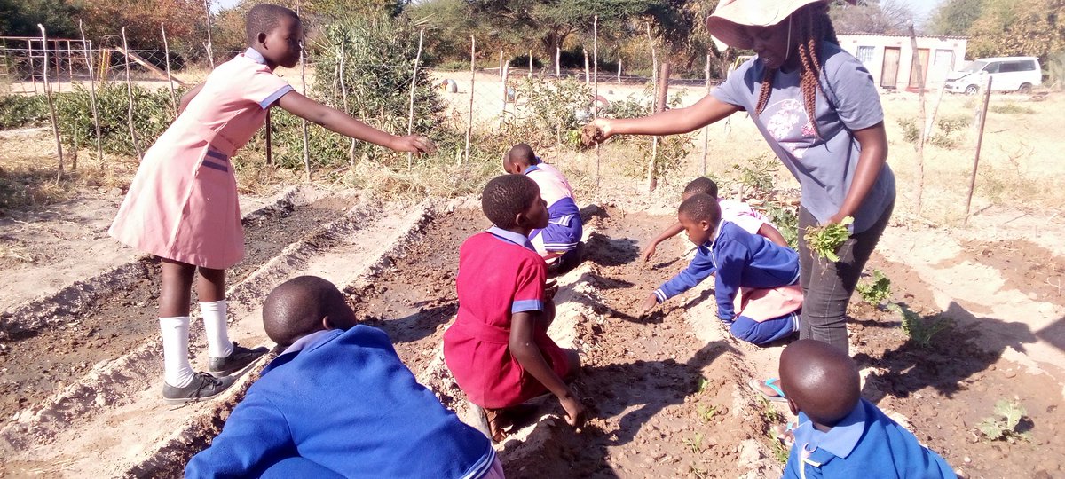 nyika_fortunate's tweet photo. We moving on trying to bridge the gap being caused by climate change. I make sure that my learners appreciate that climate change is real and they are the key players to fight against it on their daily activities.
# climate change ambassador 
#teachforZimbabwe
#teachforall https://t.co/IbEXNPwUCl