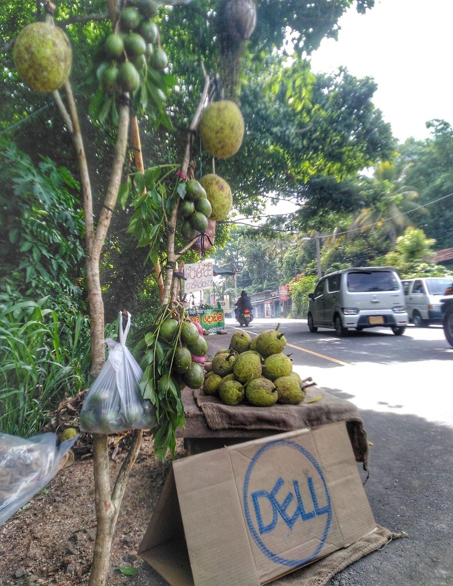 lakna_amandi's tweet photo. #DELL #madeinSL https://t.co/hpExmKRINM