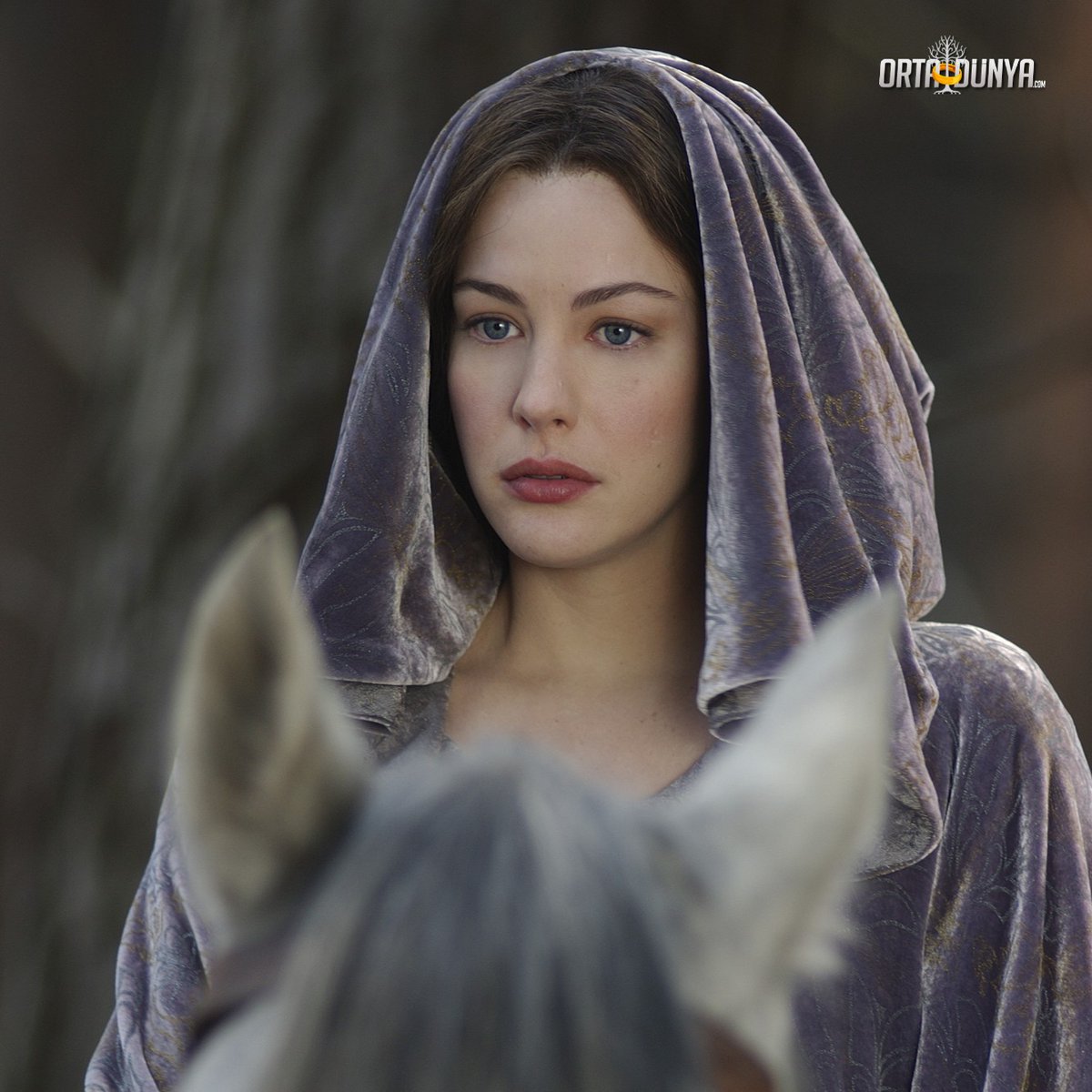 Yüzüklerin Efendisi'nde Arwen karakterini canlandıran oyuncu Liv Tyler bugün 46 yaşına girdi.

İyi ki doğdun Akşamyıldızı! 🎂
