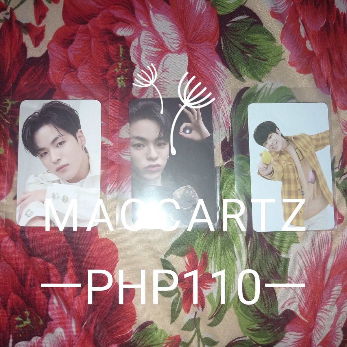 maocartz's tweet photo. ꒰ wts lfb treasure ph | #maosales ꒱

TREASURE PHOTOCARDS 💌❕

— onhand
— 3 days reservation / prio PAYO
— clean condi
— rcbyt
ㅡ with free treasure unsealed album

-> reply / dm to claim. >< 

t. jihoon mashiho jaehyuk yedam doyoung haruto jeongwoo pc tfs tss ch1 ktown pob. https://t.co/rQjrrKS4oh