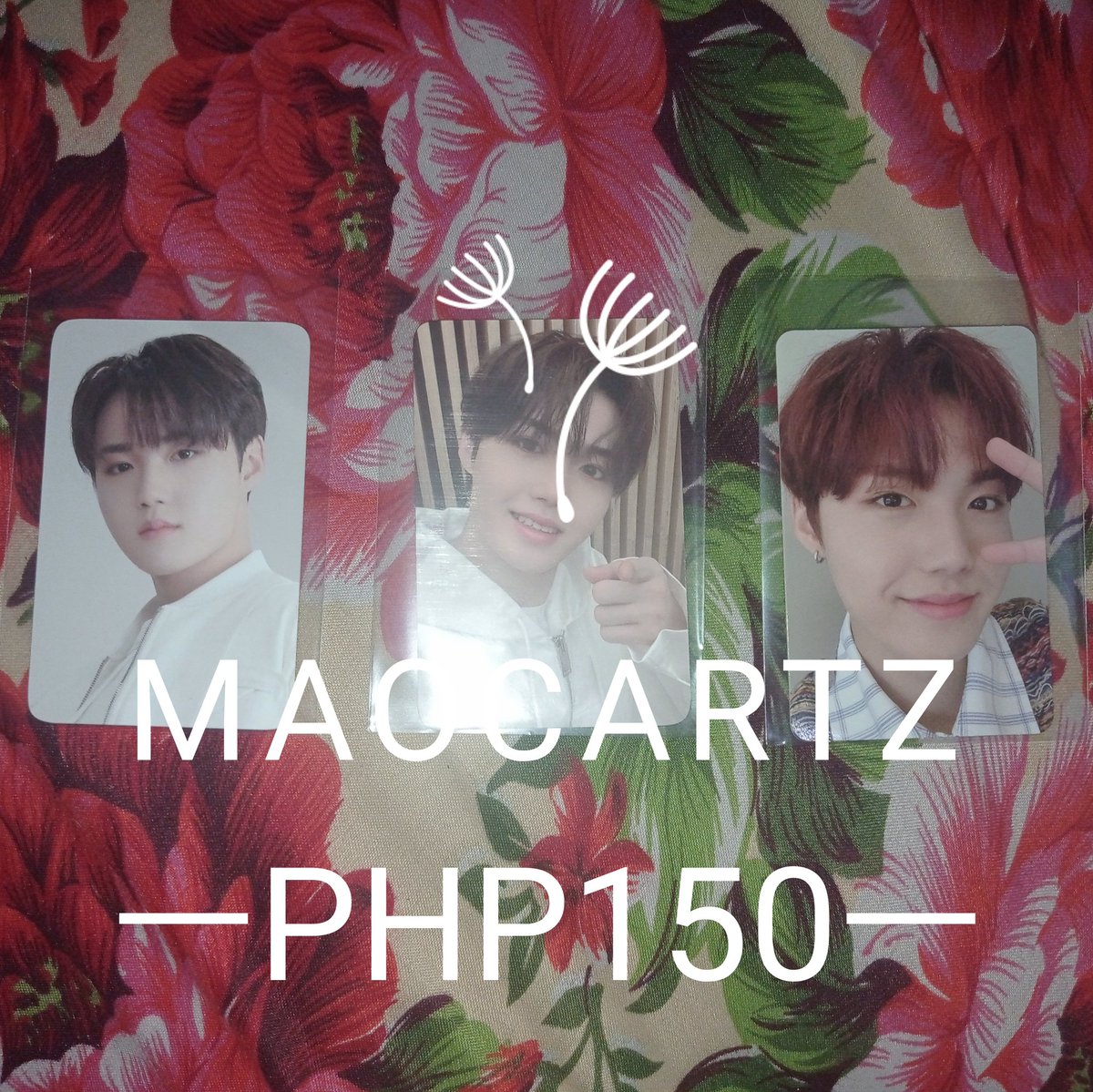 maocartz's tweet photo. ꒰ wts lfb treasure ph | #maosales ꒱

TREASURE PHOTOCARDS 💌❕

— onhand
— 3 days reservation / prio PAYO
— clean condi
— rcbyt
ㅡ with free treasure unsealed album

-> reply / dm to claim. >< 

t. jihoon mashiho jaehyuk yedam doyoung haruto jeongwoo pc tfs tss ch1 ktown pob. https://t.co/rQjrrKS4oh
