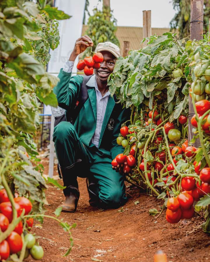 MikeAgrow's tweet image. Subsidies &amp;amp; Support Programs: Aid farmers with risk management, productivity, and competitiveness. But can distort markets and raise environmental concerns. #Subsidies #SupportPrograms #MarketDistortions