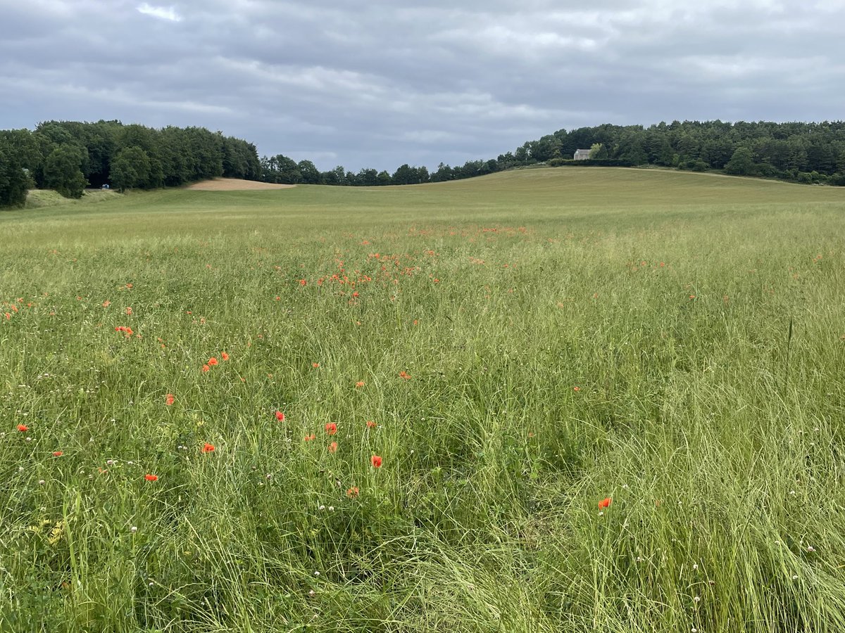 Day 3 of the Cotswold Way Challenge and a quick fire 11-mile hike from Birdlip to Dowdeswell Reservoir. Lovely views! 🔴⚫️