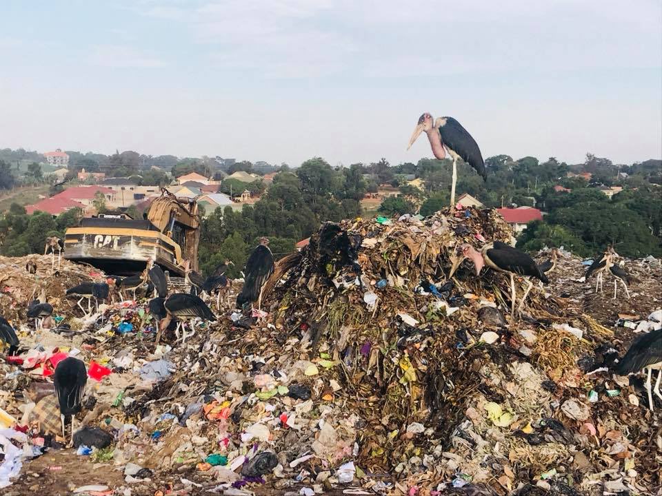 Polyrecycle's tweet photo. Kiteezi Landfill in the north of Kampala – Largest garbage dump in Uganda and all of East Africa – Thousands of people live directly on and from the garbage in the Kiteezi garbage dump. #climateaction2023 #plasticrecycling #ClimateActionNow #ClimateAction https://t.co/7tdjyorCrU