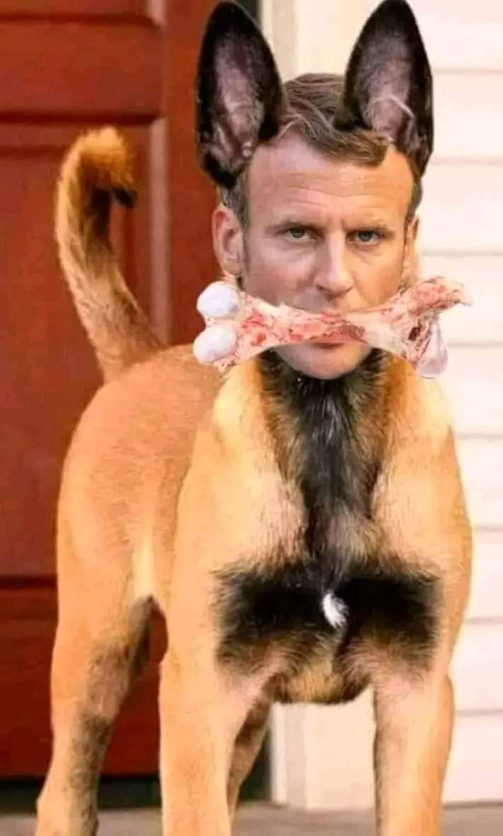 جنہیں اپنا اکاؤنٹ عزیز ہے وہ دور رہیں 
باقی سب بولو
تاجدارِ ختم نبوت۔
زندہ باد💖
سویڈن ختم ہو جائے گا 
لیکن میرے رب کا قرآن مومنوں کے سینوں میں قیامت تک محفوظ رہے گا
#گستاخی_قرآن_کے_لئے_کوئی_معافی_نہیں