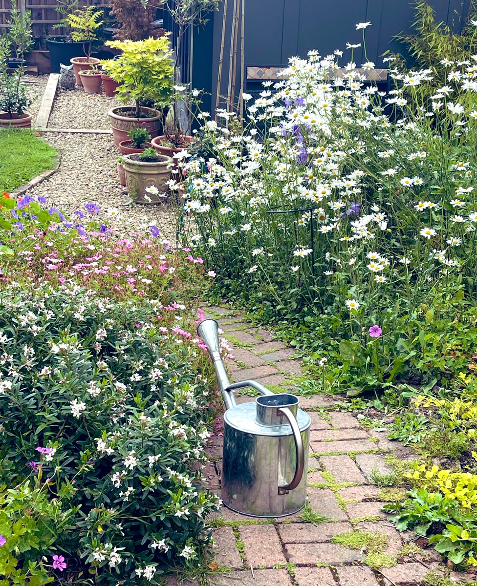 And looking the other way… #GardeningTwitter #narrowpath #flowers