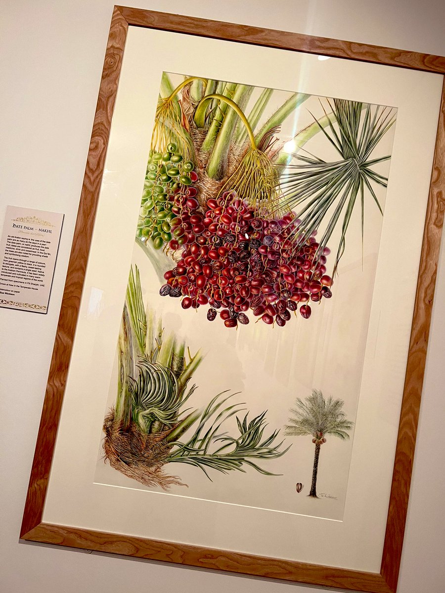 Yasm1nK's tweet photo. Stunning exhibit in @kewgardens #PlantsofTheQuran https://t.co/N9ewY6s6Vs