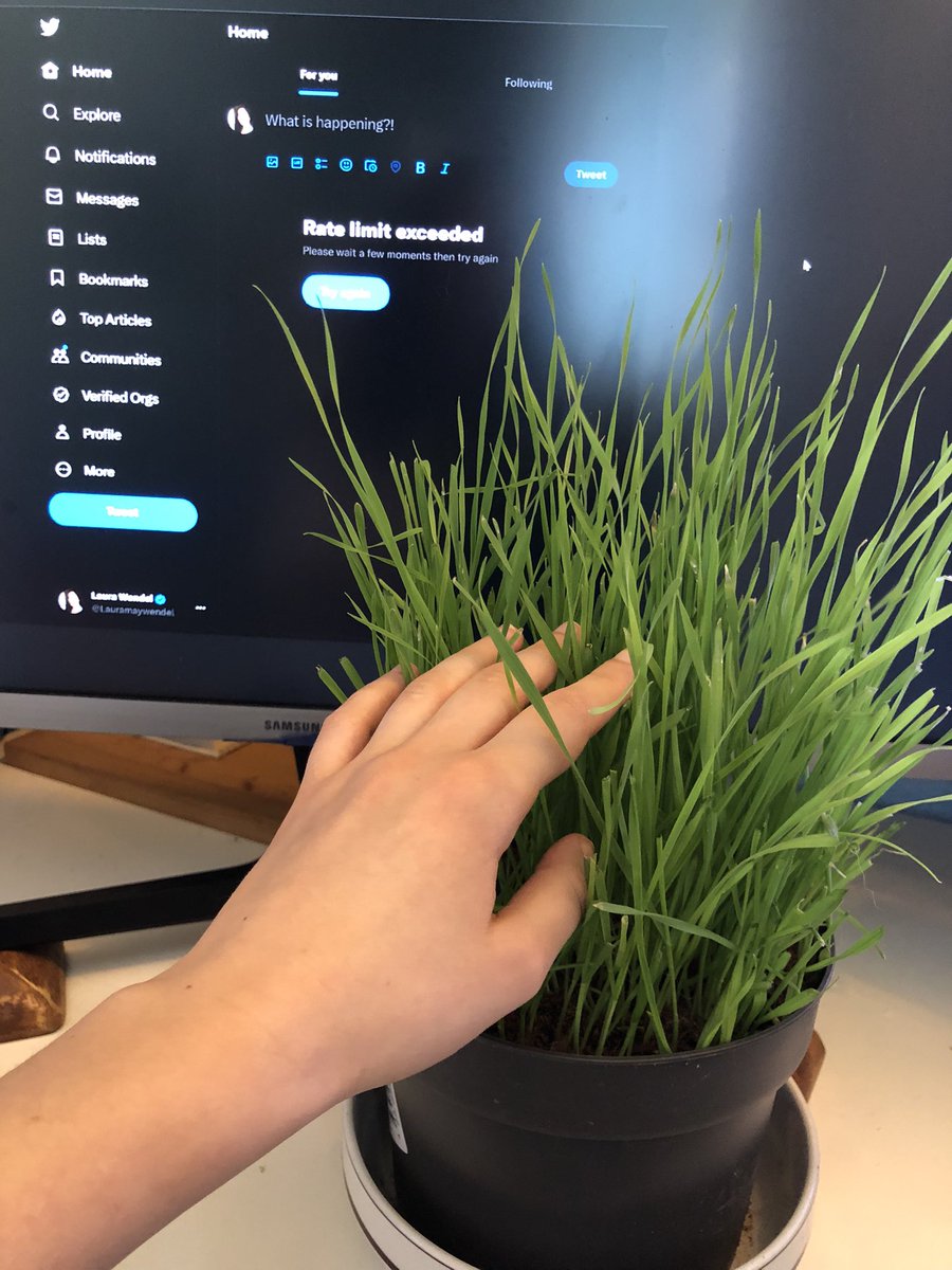 Lauramaywendel's tweet image. Rate limit exceeded, time to touch grass