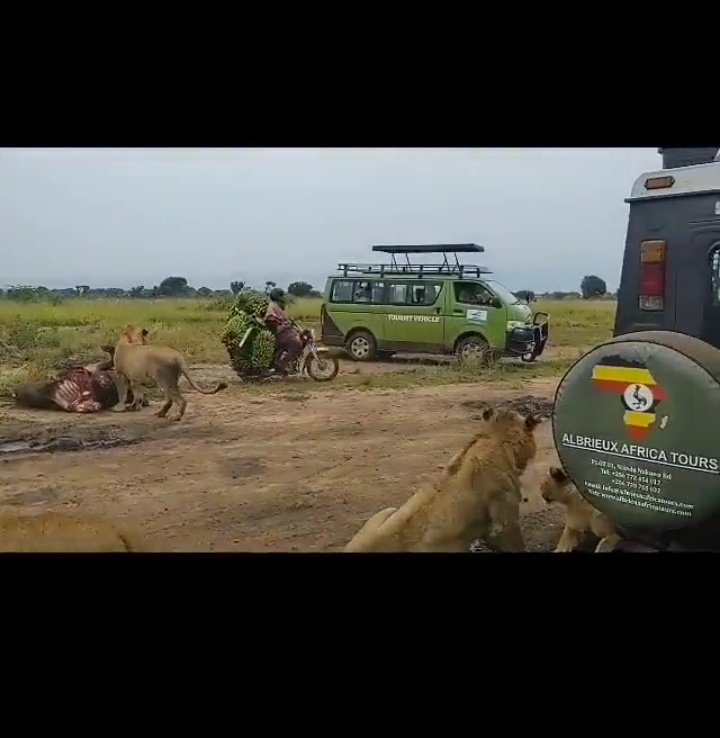 VisitMarangu's tweet photo. Baada ya mwanamke ogopa bodaboda 😂😂😂 jamaa kapita hapo shwaaa  watalii wamebaki mdomo wazi😂👇 video ipo kwenye comments https://t.co/svyW78wooE